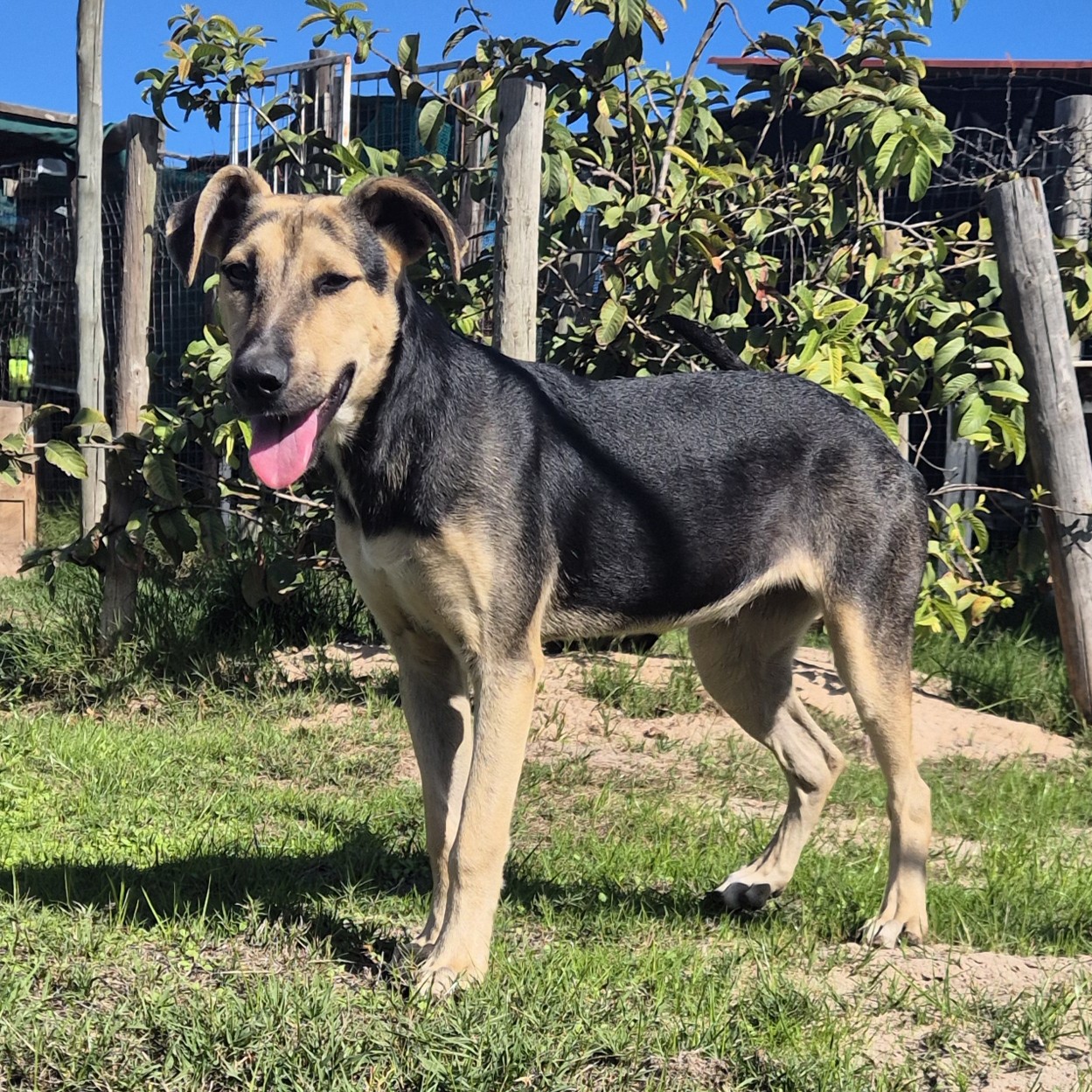 Lucy 2026 05 (6)